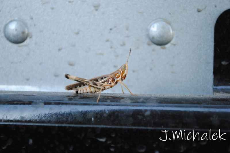 DSC_5834.JPG