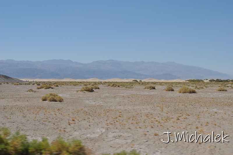 DSC_5925.JPG