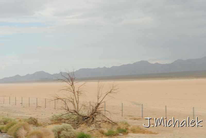 DSC_6037.JPG