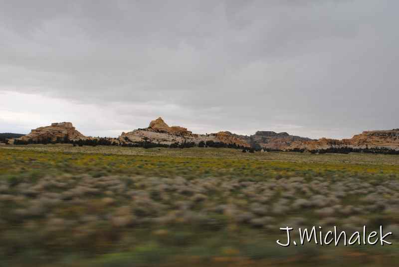 DSC_6308.JPG