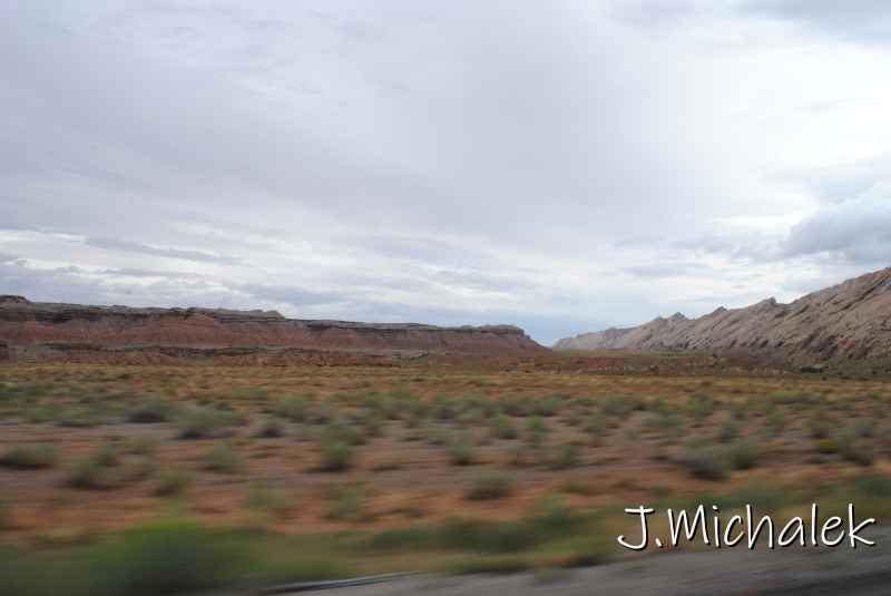 DSC_6338.JPG