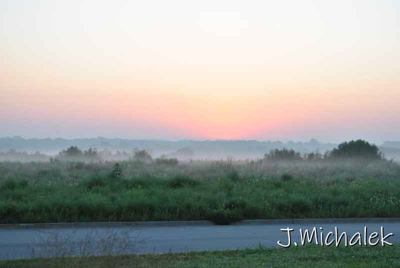 DSC_6408.JPG