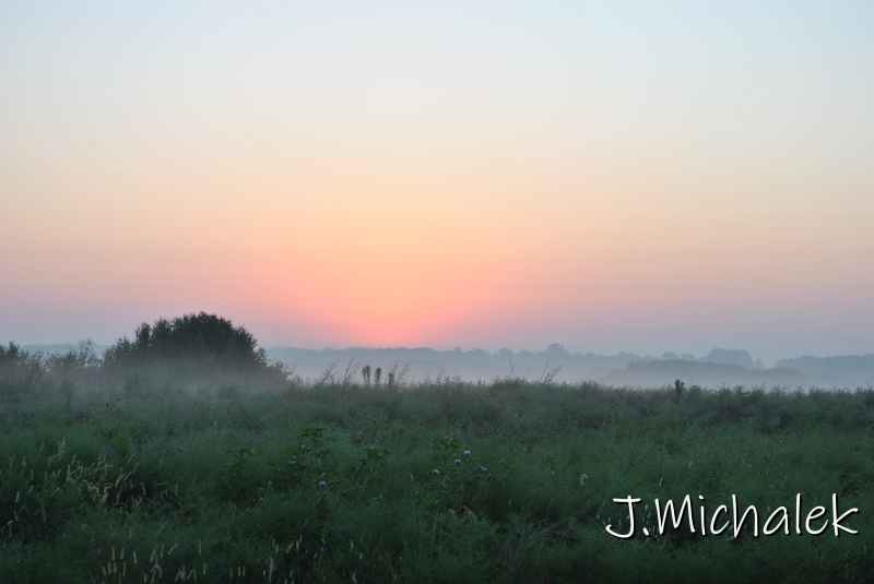 DSC_6410.JPG