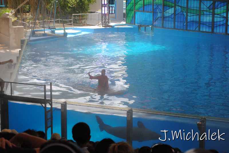 DSC_7010.JPG