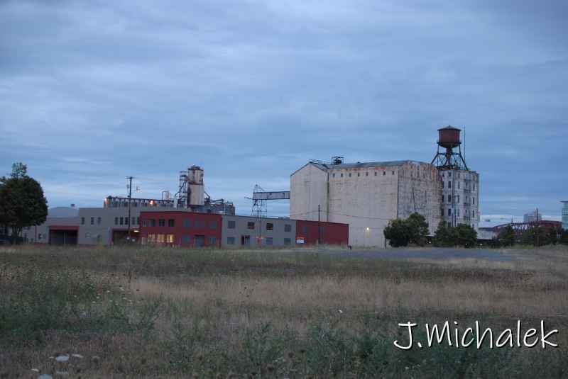 DSC_7472.JPG