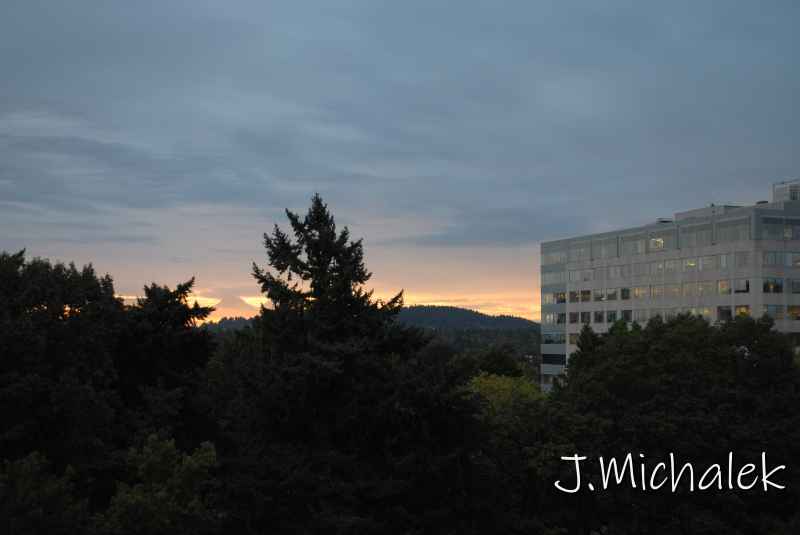 DSC_7476.JPG