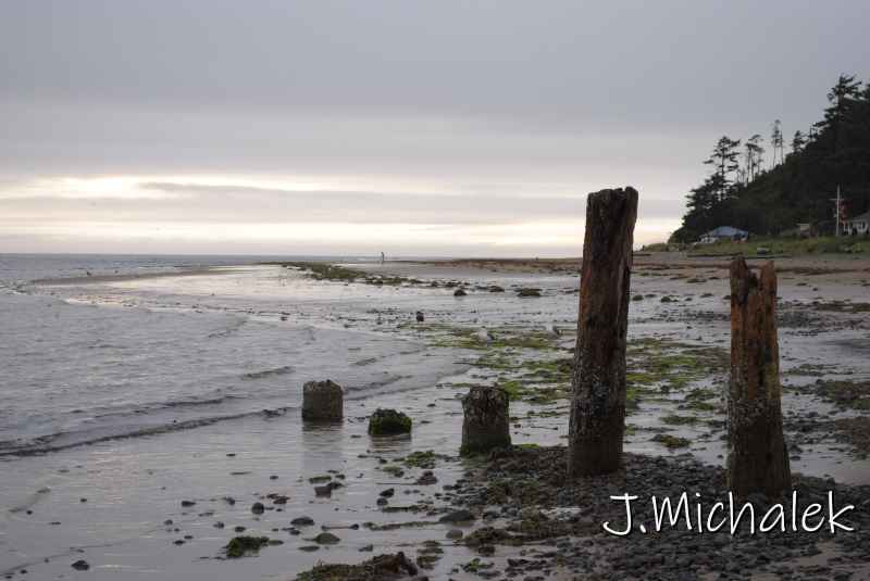 DSC_7506.JPG