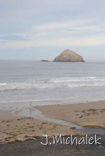 DSC_7546.JPG