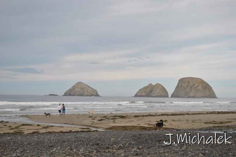 DSC_7554.JPG