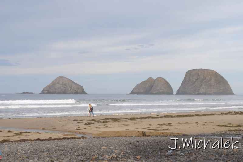 DSC_7558.JPG
