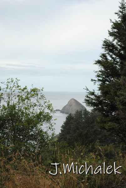 DSC_7625.JPG
