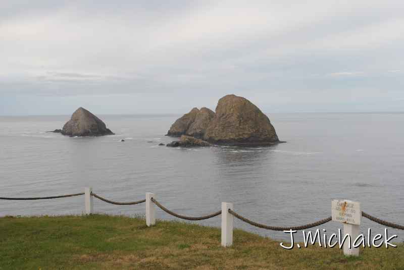 DSC_7637.JPG