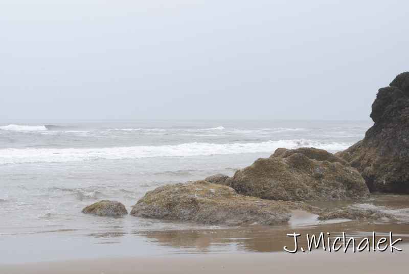 DSC_7727.JPG