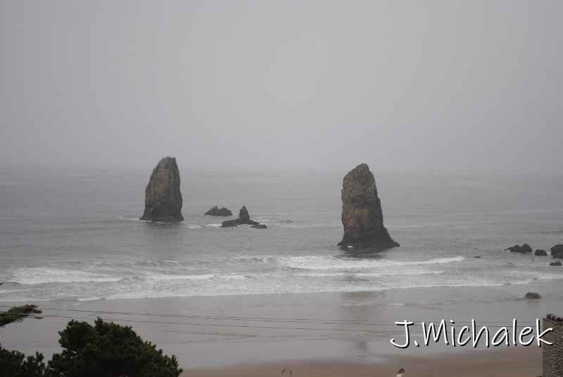 DSC_7731.JPG