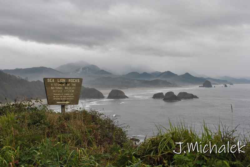 DSC_7755.JPG