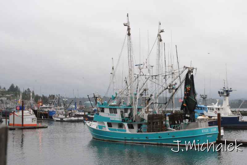DSC_7784.JPG