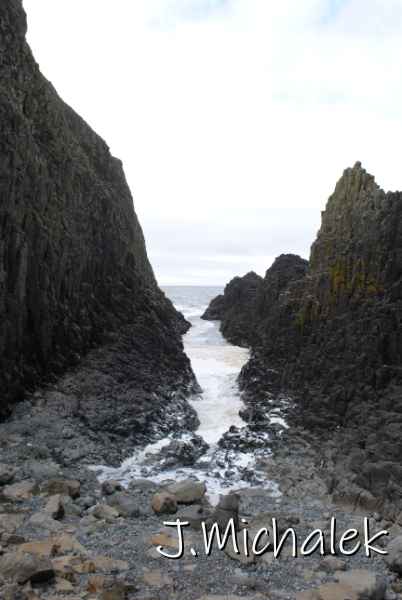 DSC_7864.JPG