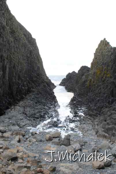 DSC_7866.JPG