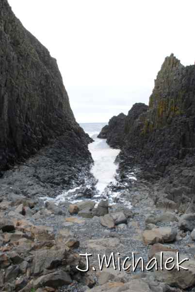 DSC_7870.JPG