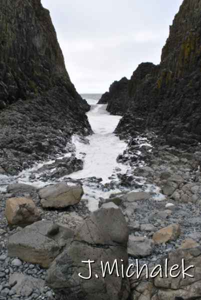DSC_7884.JPG