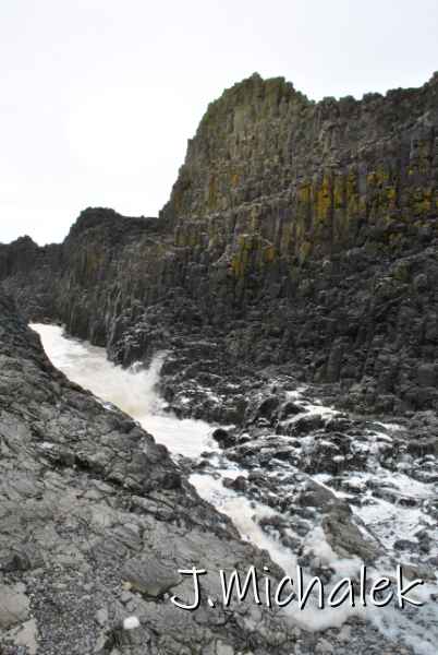 DSC_7888.JPG