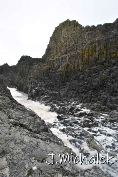 DSC_7889.JPG