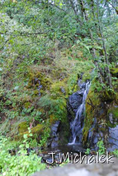 DSC_7912.JPG