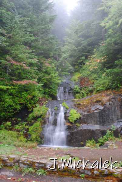 DSC_7916.JPG