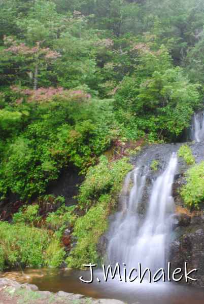 DSC_7923.JPG