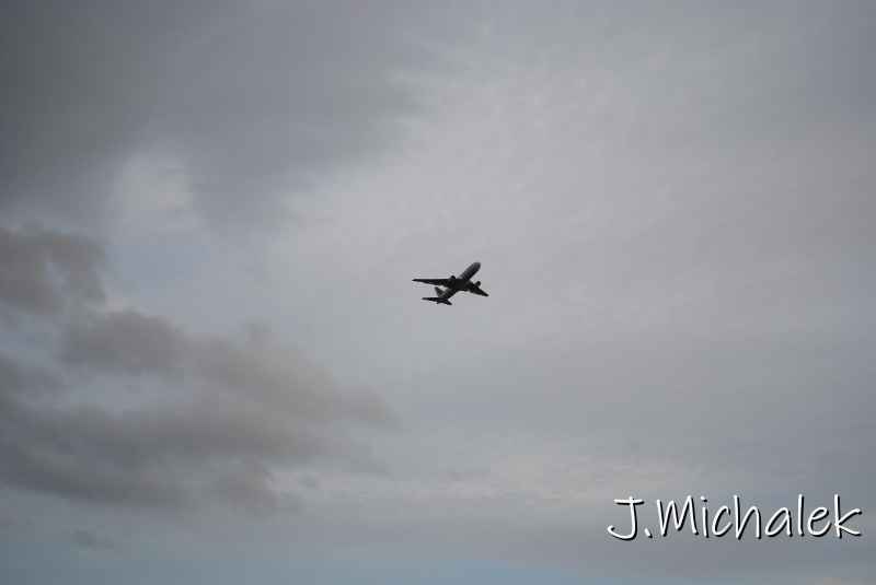 DSC_7987.JPG