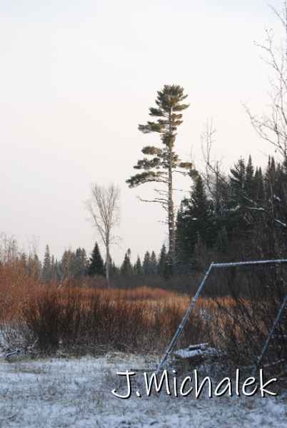 DSC_8682.JPG