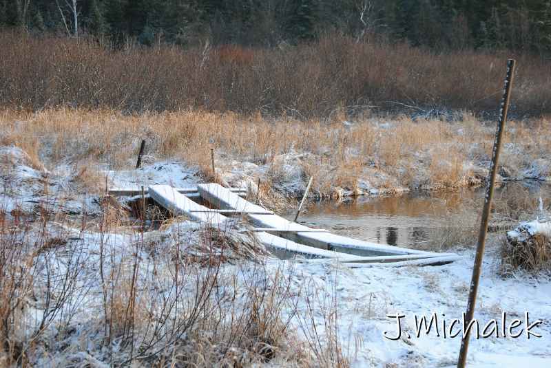 DSC_8687.JPG