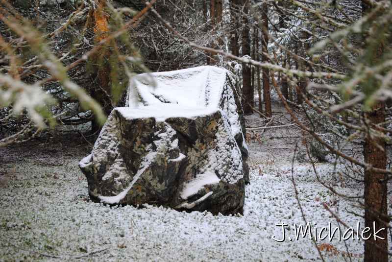DSC_8700.JPG