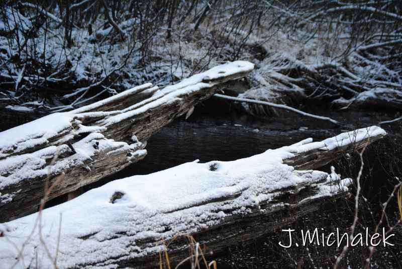 DSC_8706.JPG