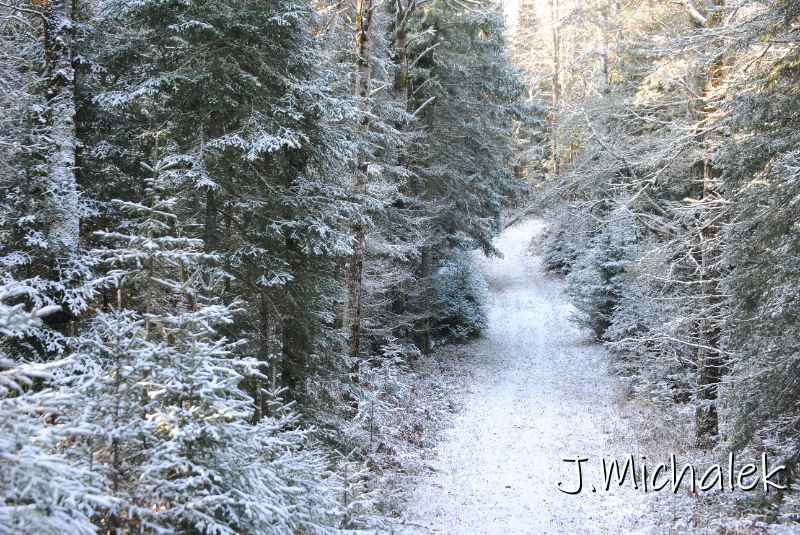 DSC_8714.JPG