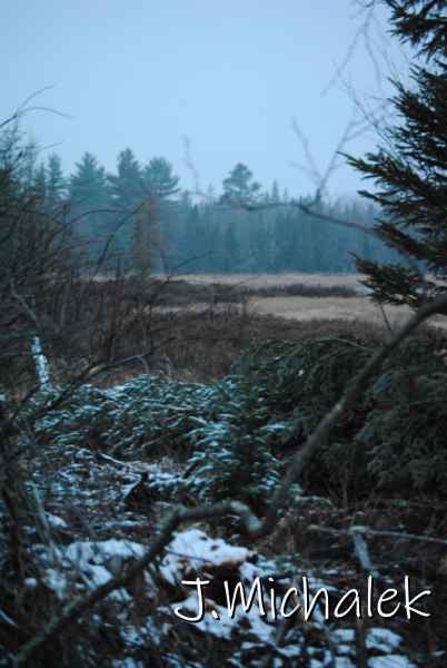 DSC_8720.JPG