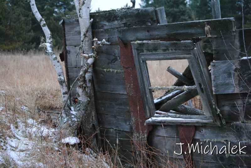 DSC_8726.JPG