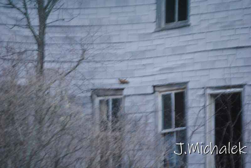 DSC_8727.JPG