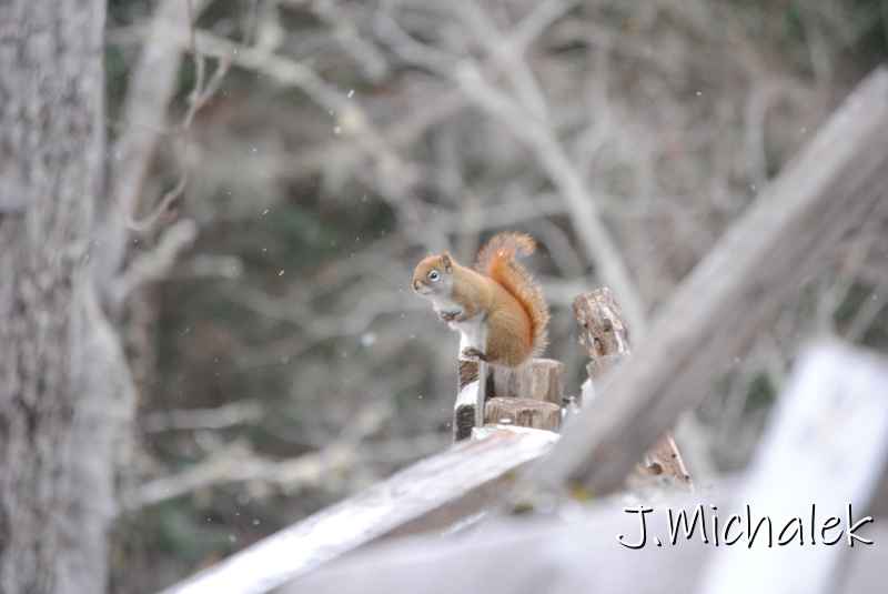 DSC_8979.JPG
