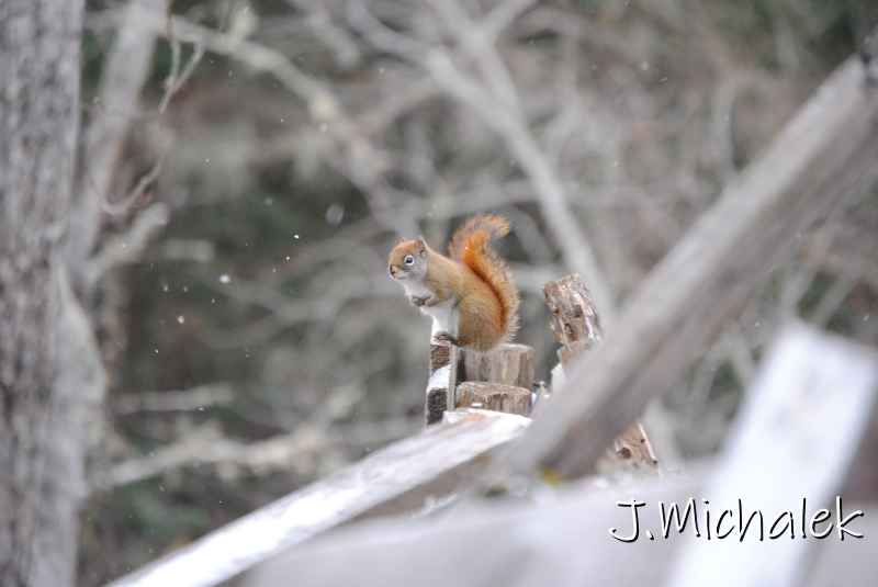 DSC_8980.JPG