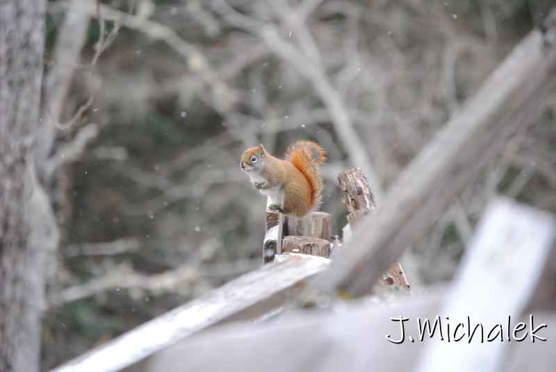 DSC_8981.JPG