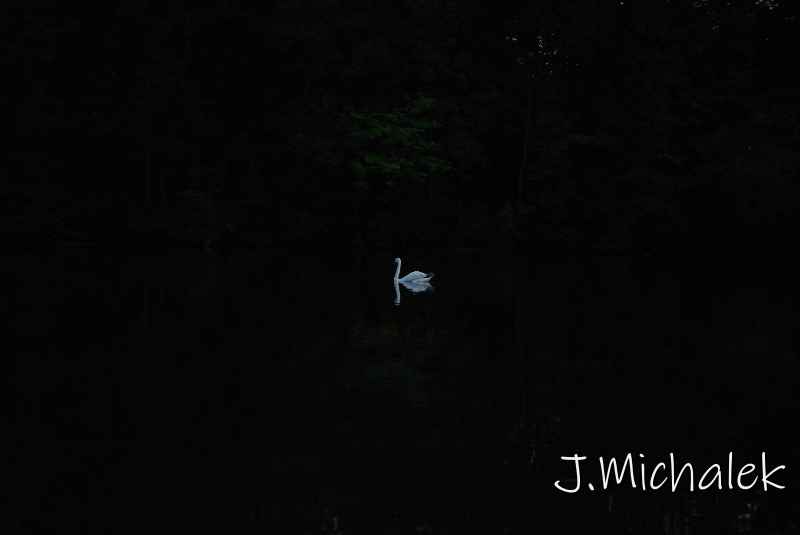 DSC_5472_high.JPG
