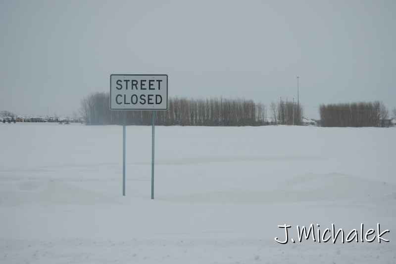 DSC_9445.JPG