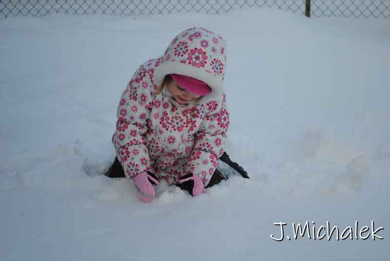 DSC_9517.JPG