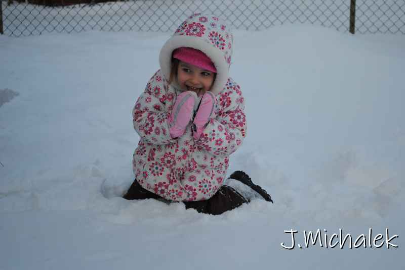 DSC_9519.JPG
