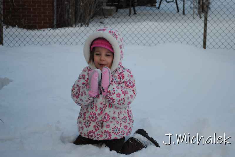 DSC_9523.JPG