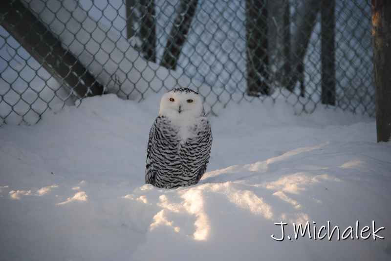 DSC_9577.JPG