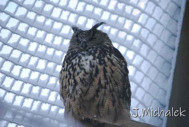 DSC_9592.JPG