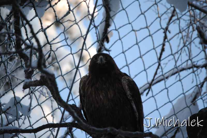 DSC_9605.JPG