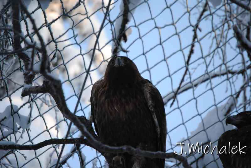 DSC_9606.JPG